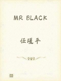 MR BLACK